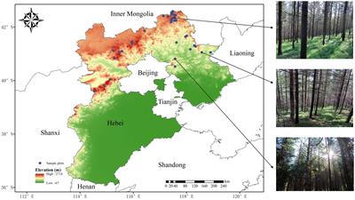 Assessing Larix principis-rupprechtii productivity and its determinants based on national forest inventory data in Hebei Province, China